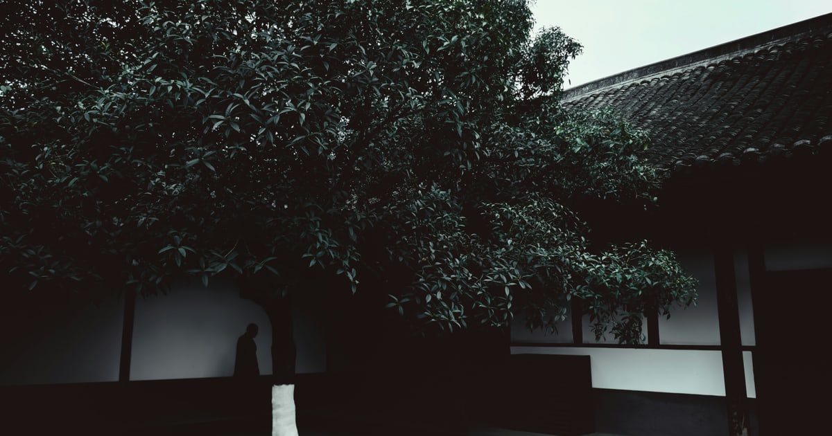 Two Things Called "Integral Education": Aurobindo Schools in India, Unpacked
