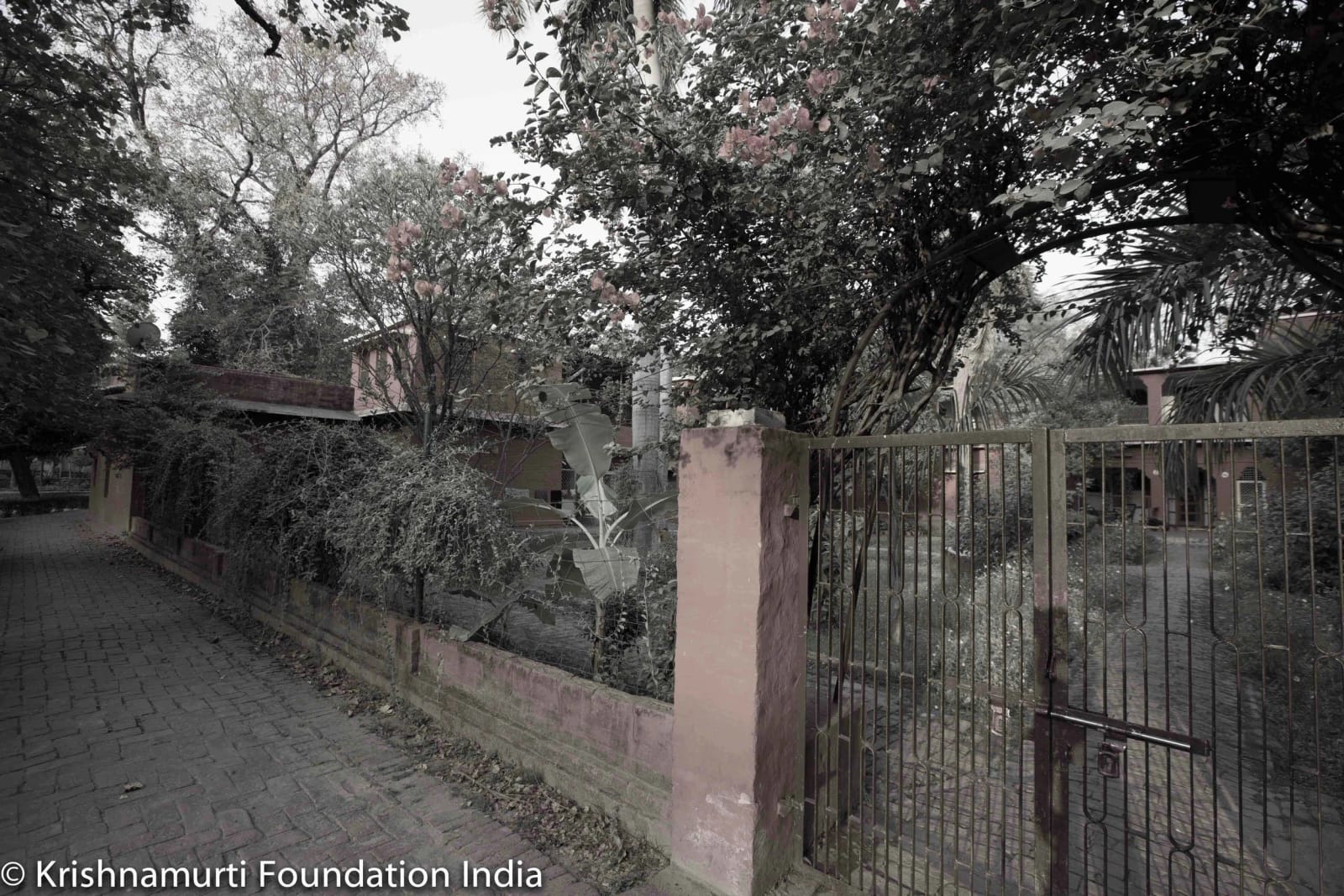 Rajghat Besant School